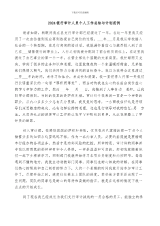 2024银行审计人员个人工作总结与计划范例