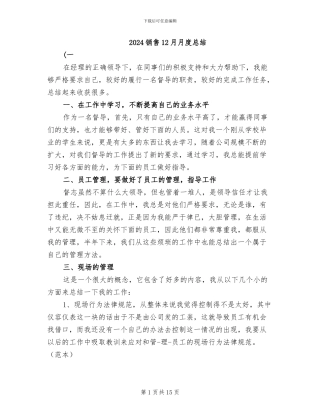2024销售12月月度总结