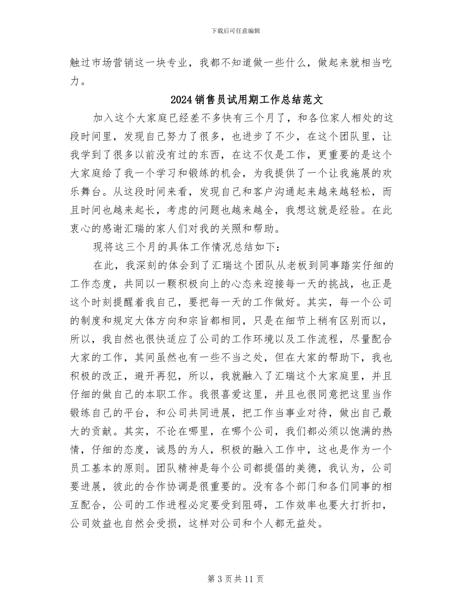 2024销售员试用期工作总结_第3页