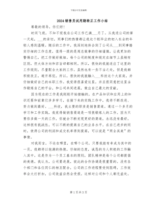 2024销售员试用期转正工作小结