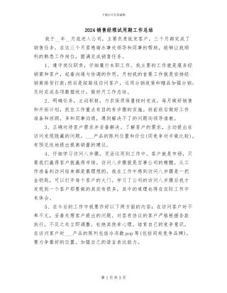 2024销售经理试用期工作总结