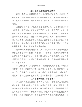 2024销售试用期工作总结范文