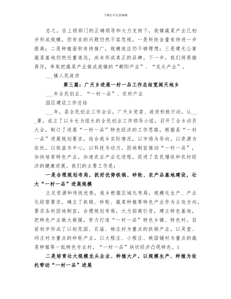 2024镇发展“一乡一品”工作情况总结_第3页
