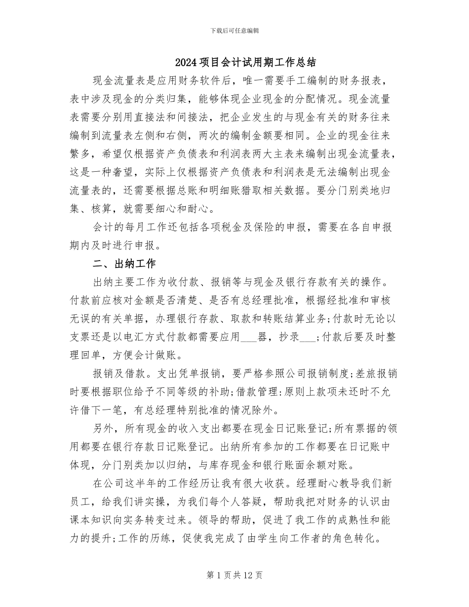 2024项目会计试用期工作总结_第1页