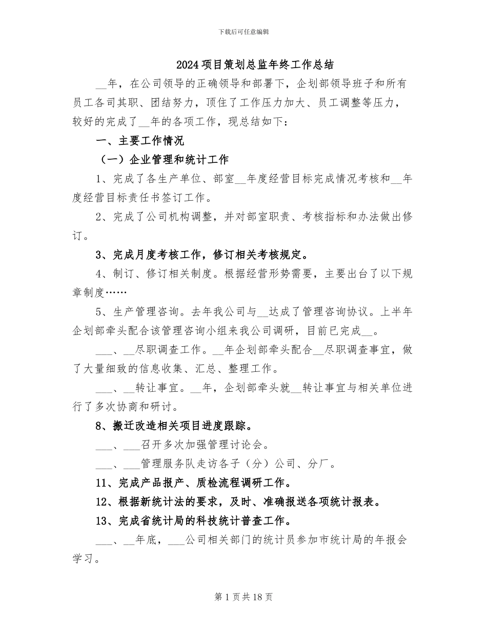 2024项目策划总监年终工作总结_第1页