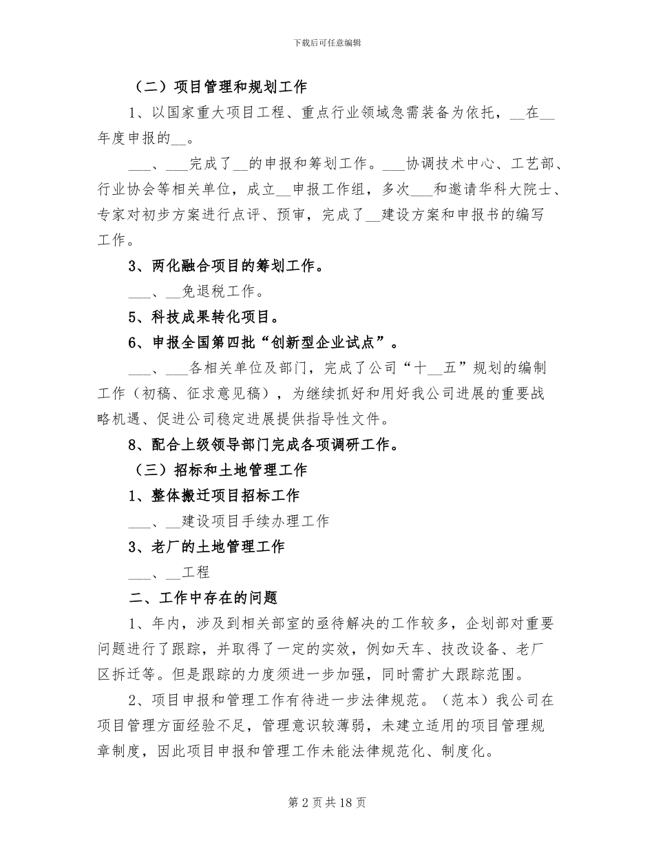 2024项目策划总监年终工作总结_第2页