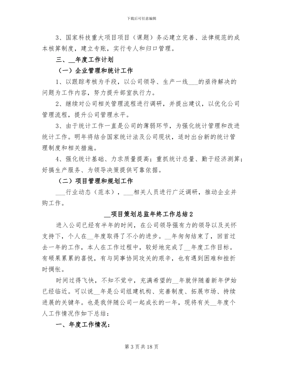 2024项目策划总监年终工作总结_第3页