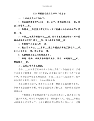 2024高新技巧企业上半年工作总结