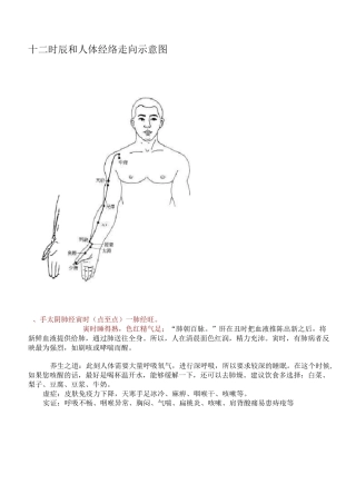 十二时辰和人体经络走向示意图