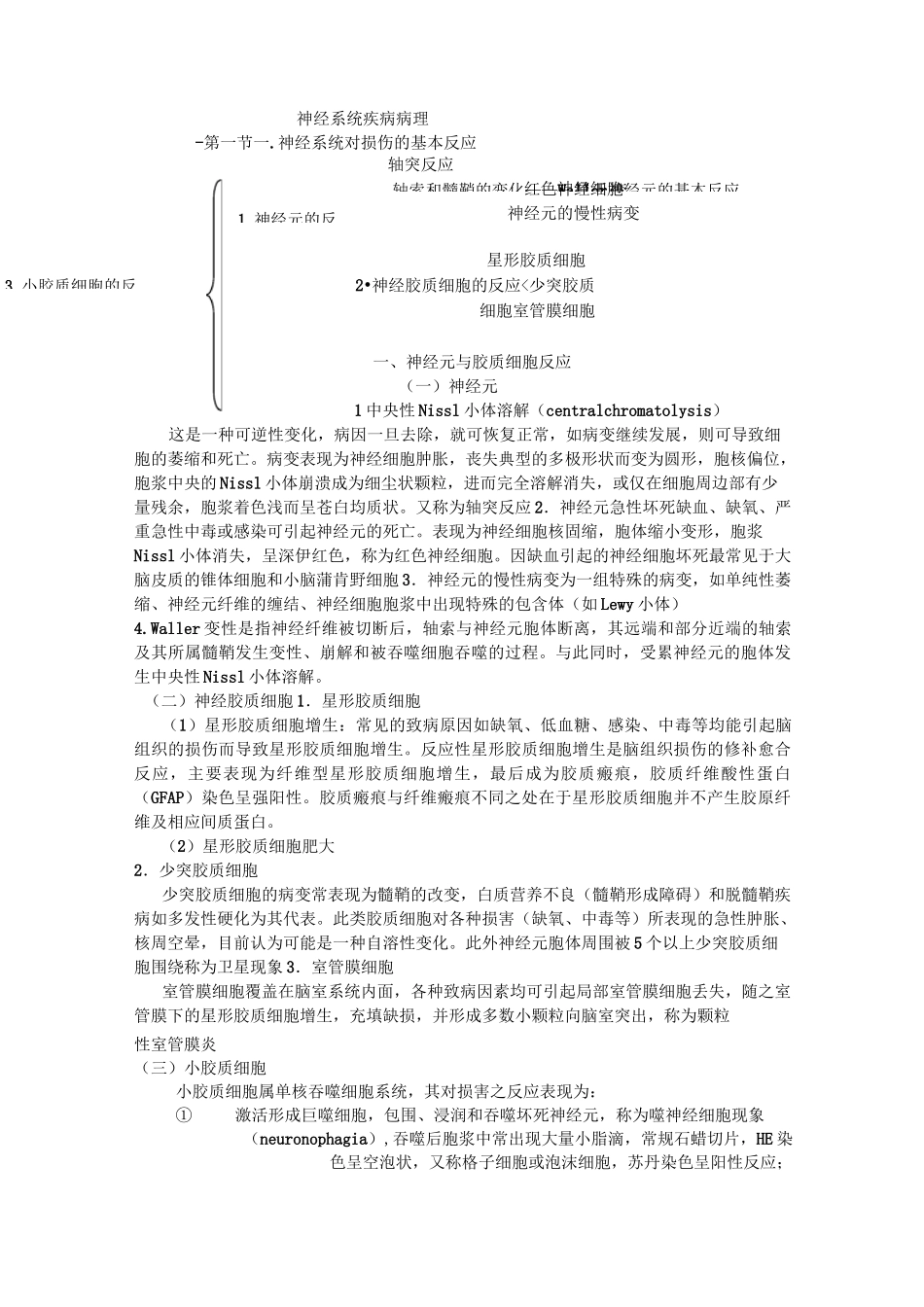 神经系统疾病病理_第1页