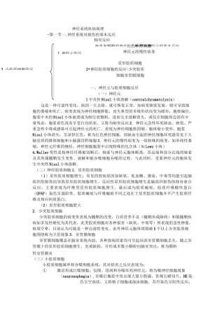 神经系统疾病病理