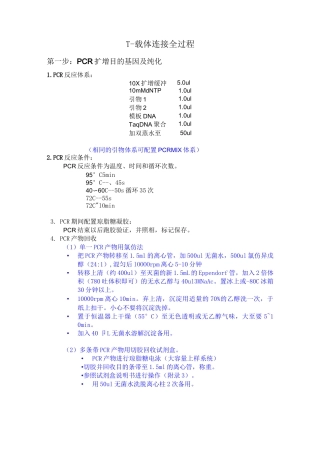 T-载体连接方案