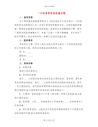 一小时体育活动实施方案