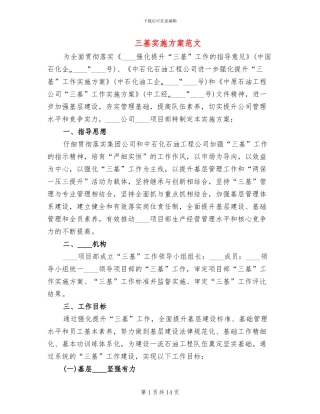 三基实施方案范文