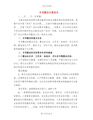 专项整治方案范本
