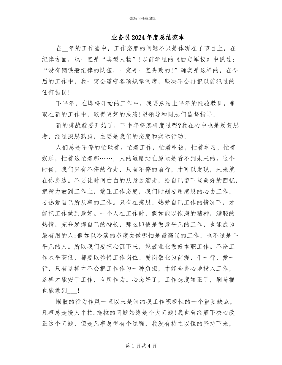 业务员2024年度总结范本_第1页