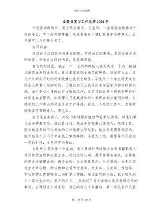 业务员实习工作总结2024年