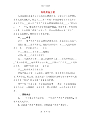 两违实施方案