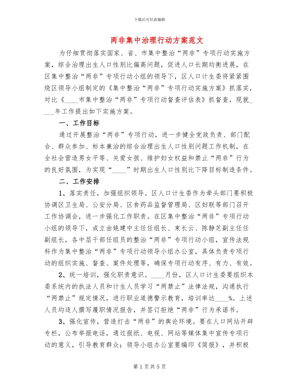 两非集中治理行动方案范文_第1页