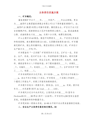 主体责任实施方案