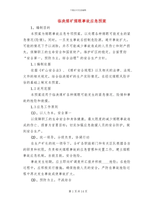 临涣煤矿煤眼事故应急预案