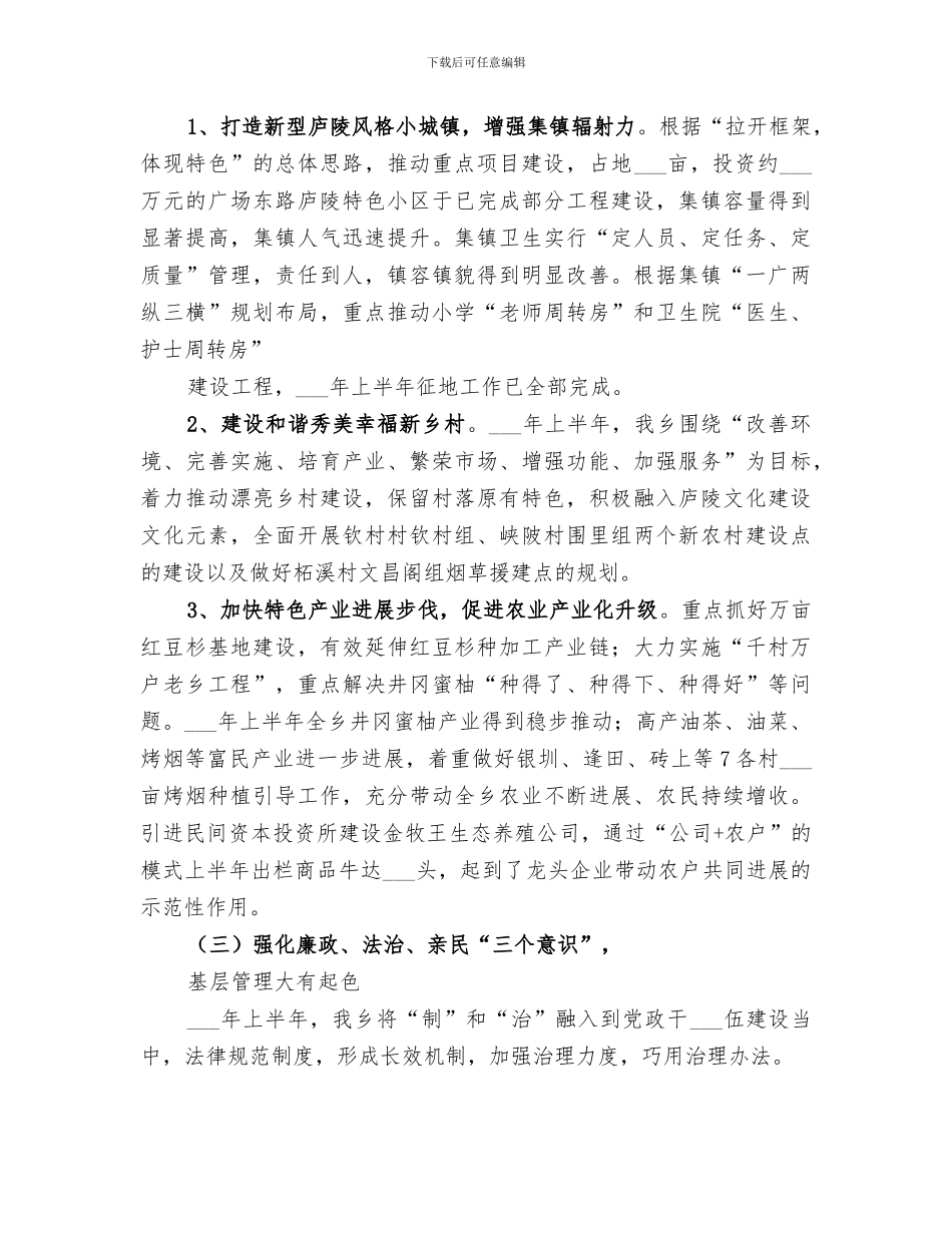 乡2024年度上半年工作总结报告_第2页