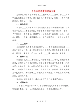 乡民兵组织整顿实施方案