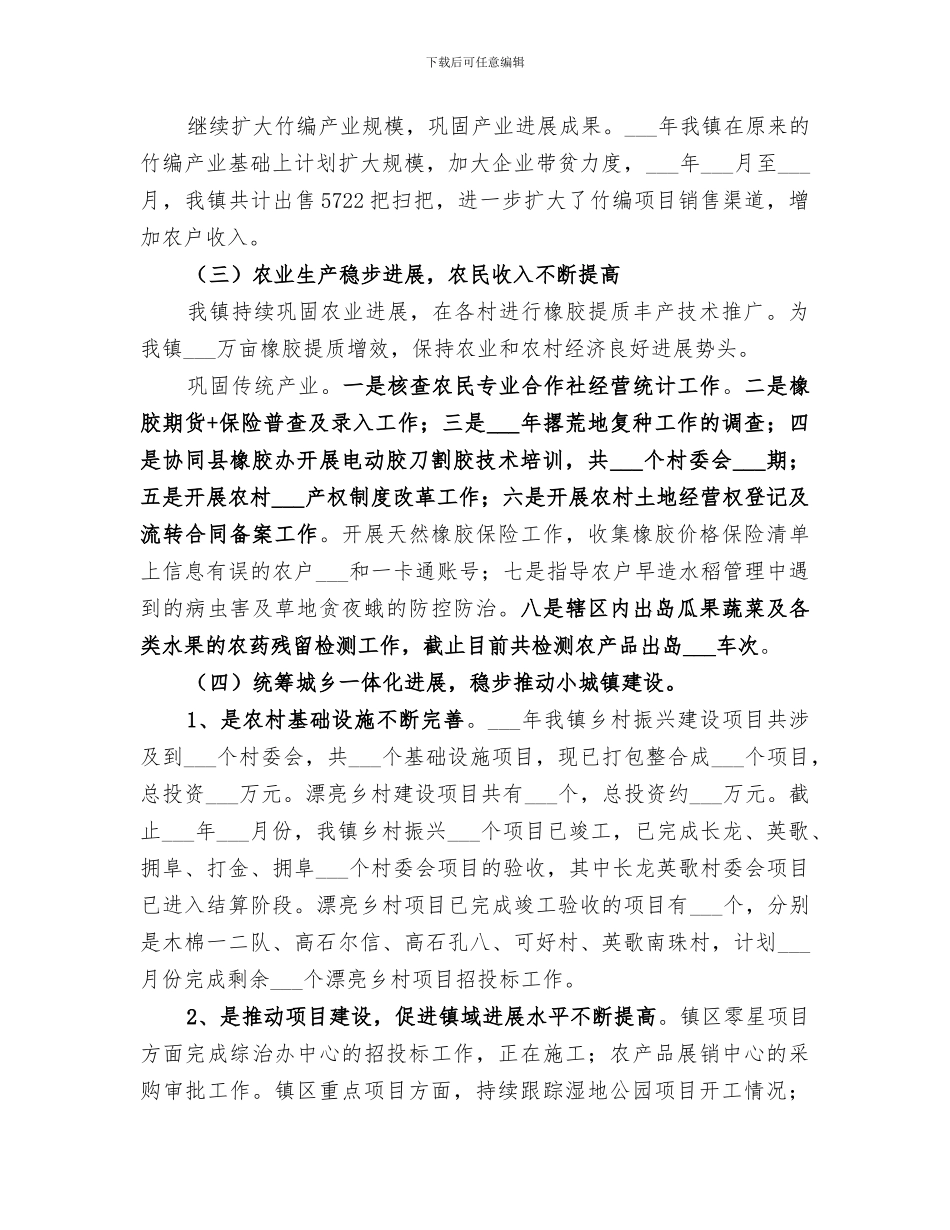 乡镇人民政府2024年工作总结_第3页