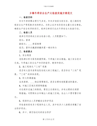 乡镇冬季安全生产大检查实施方案范文