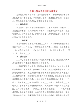 乡镇小型加工业指导方案范文