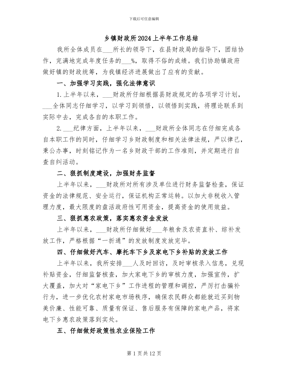 乡镇财政所2024上半年工作总结_第1页