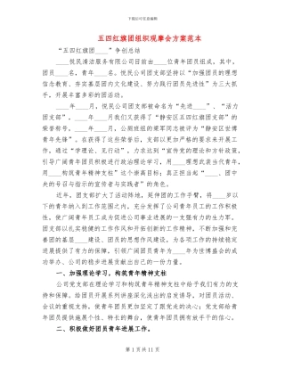 五四红旗团组织观摩会方案范本