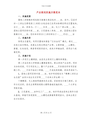 产业规划实施方案范本