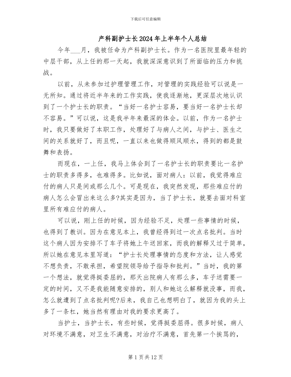 产科副护士长2024年上半年个人总结_第1页