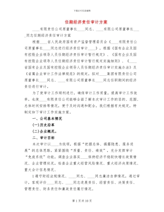 任期经济责任审计方案