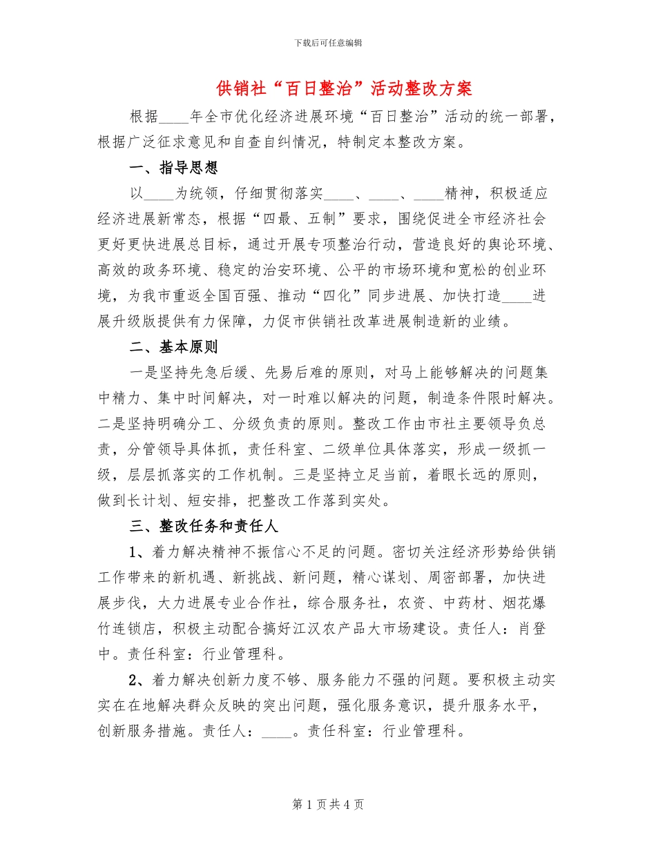供销社“百日整治”活动整改方案_第1页