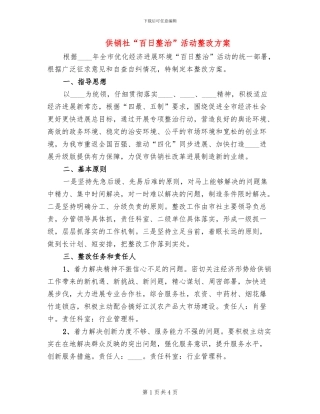 供销社“百日整治”活动整改方案