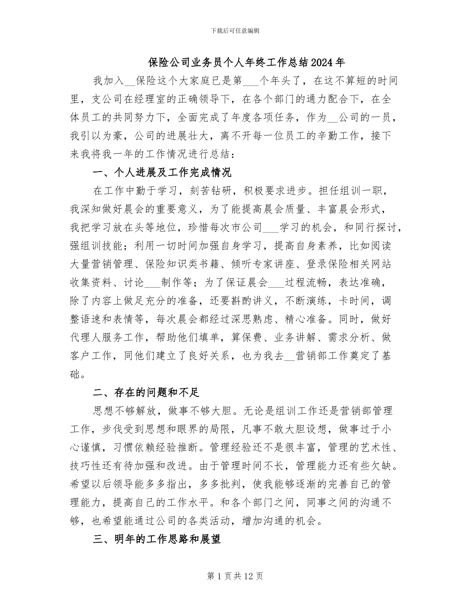 保险公司业务员个人年终工作总结2024年_第1页