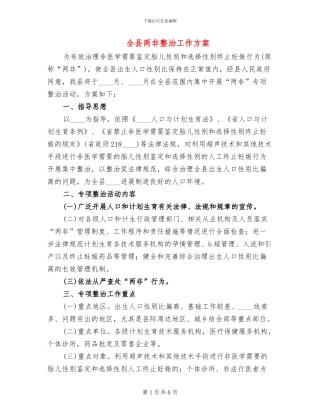 全县两非整治工作方案