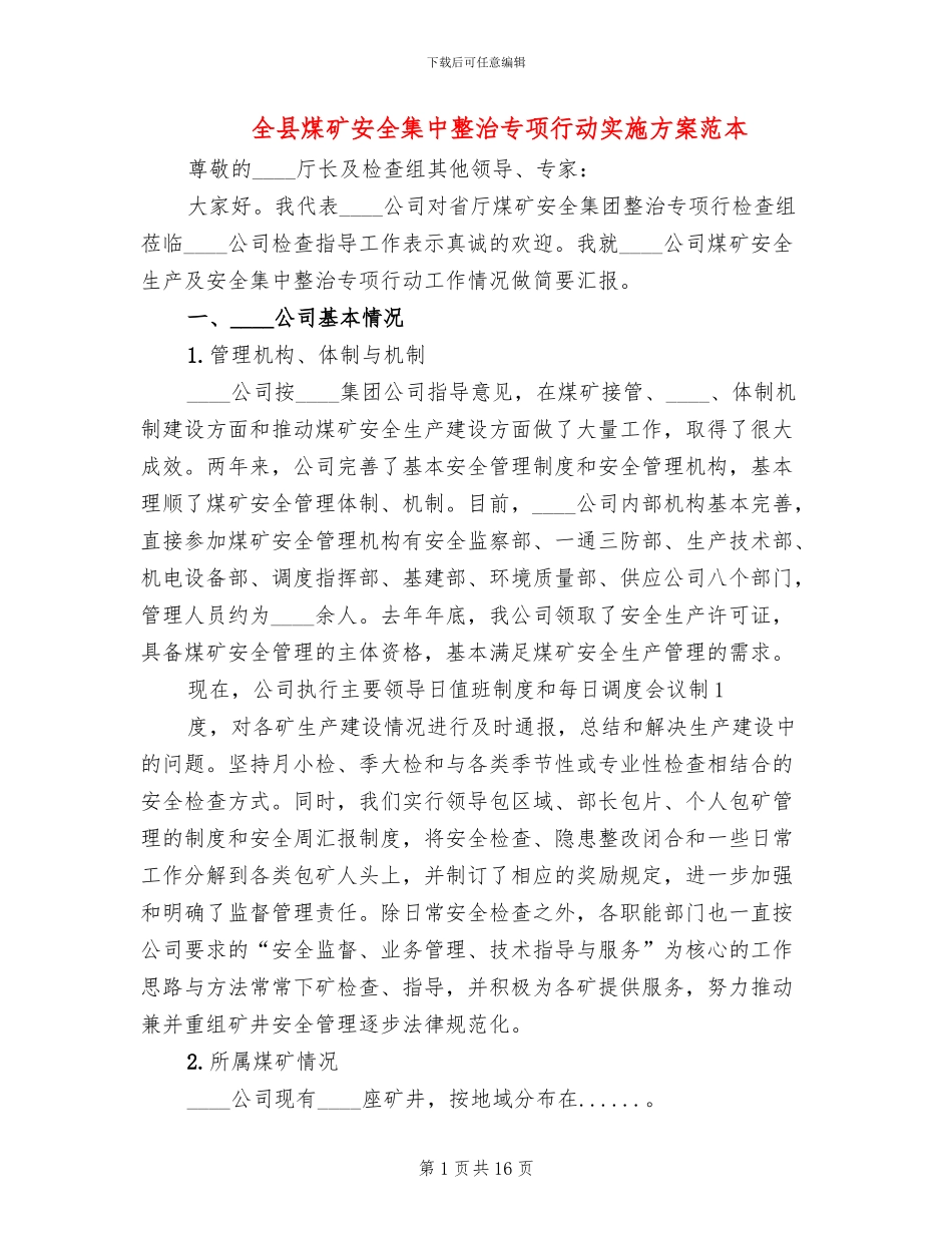 全县煤矿安全集中整治专项行动实施方案范本_第1页