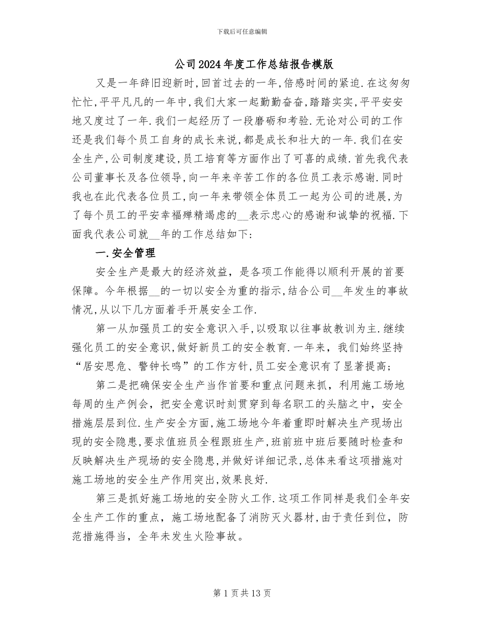 公司2024年度工作总结报告模版_第1页