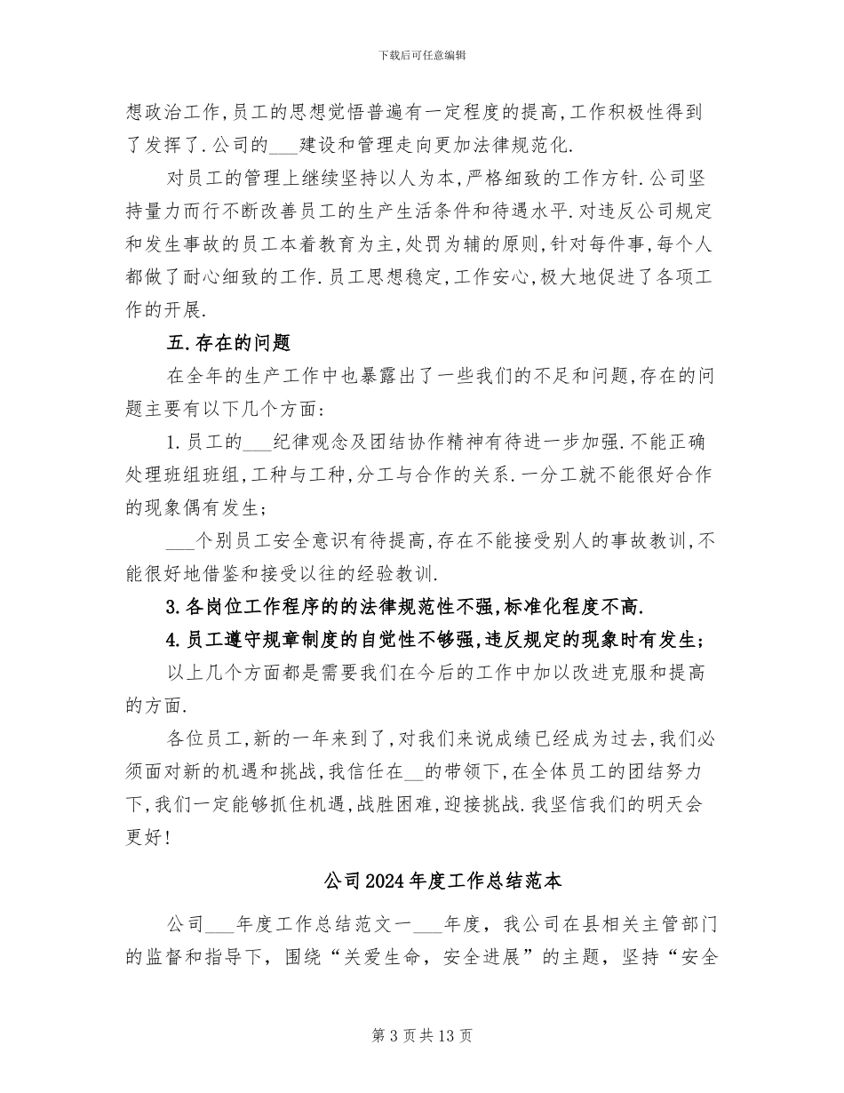 公司2024年度工作总结报告模版_第3页