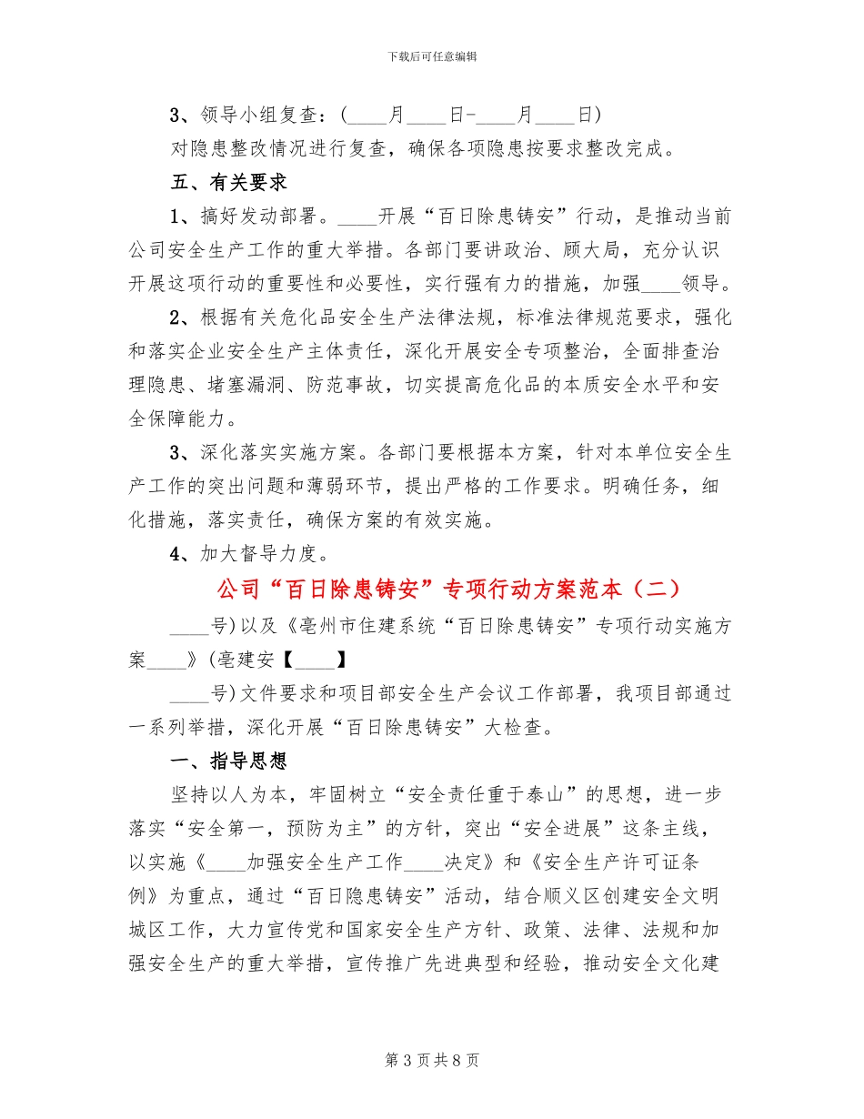 公司“百日除患铸安”专项行动方案范本_第3页
