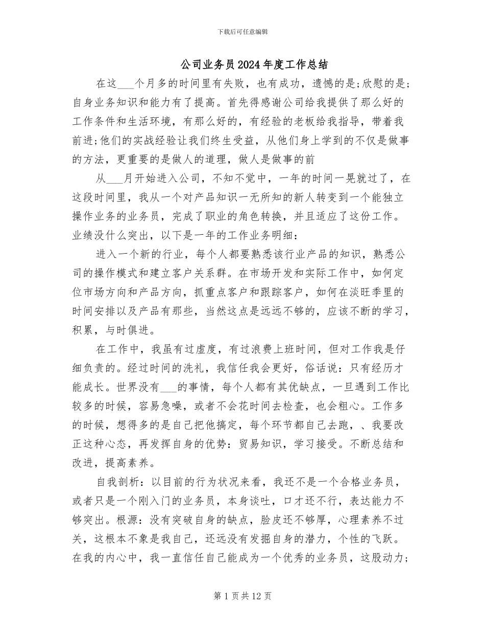 公司业务员2024年度工作总结_第1页