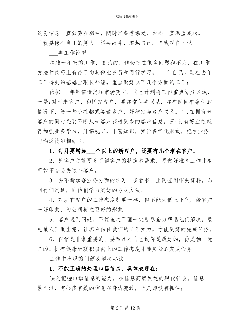 公司业务员2024年度工作总结_第2页