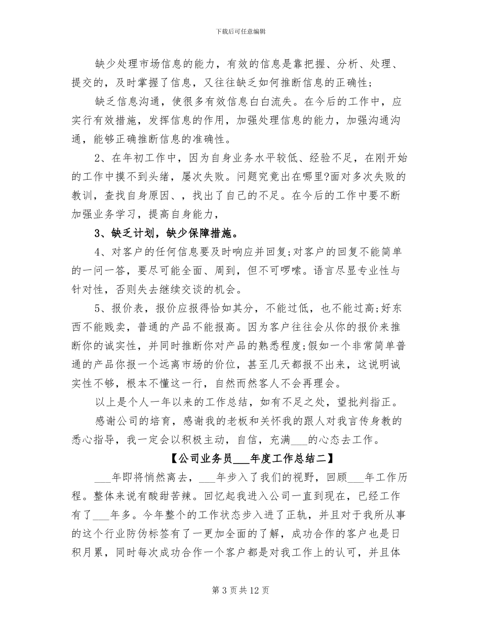 公司业务员2024年度工作总结_第3页