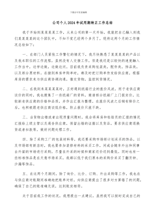 公司个人2024年试用期转正工作总结