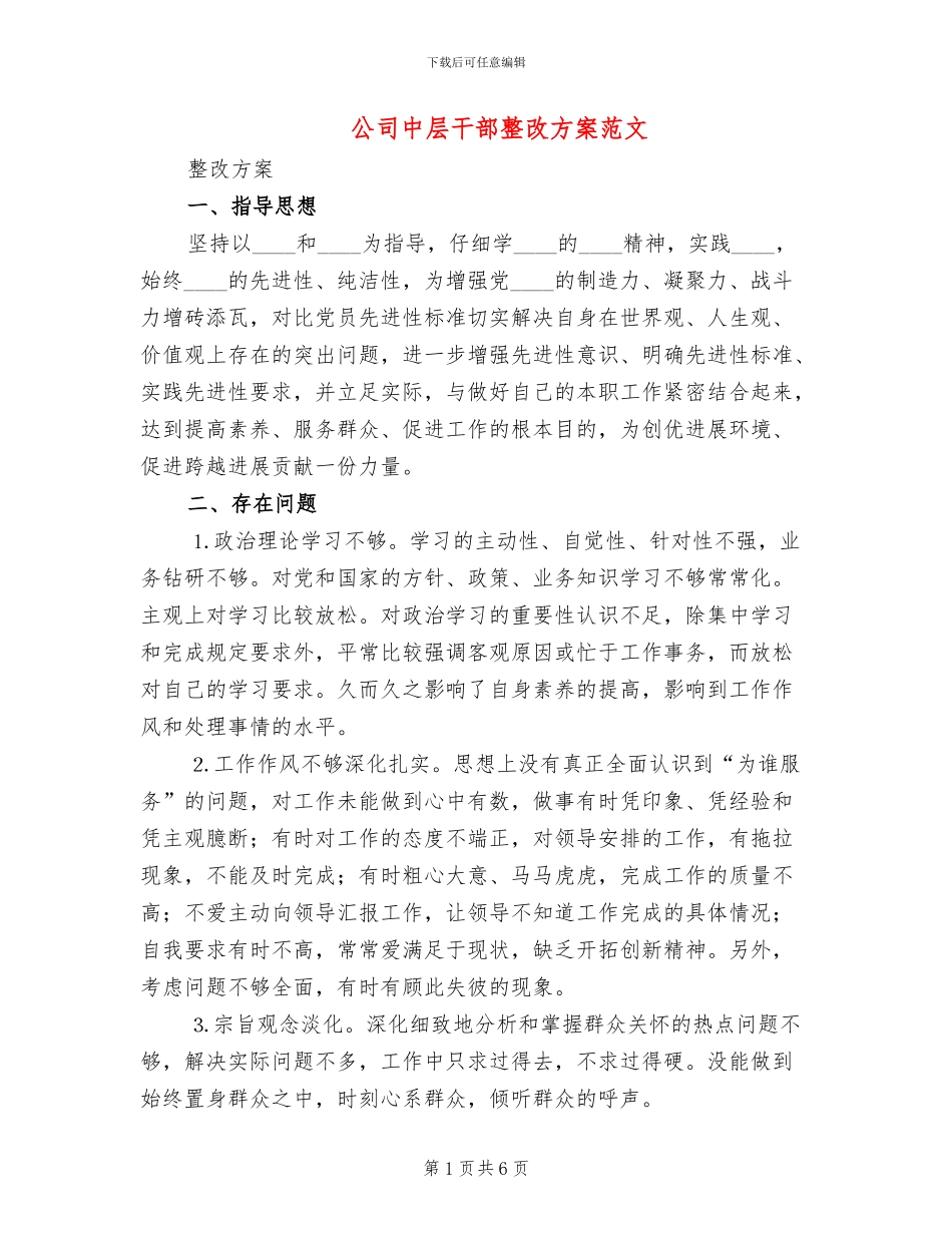 公司中层干部整改方案范文_第1页