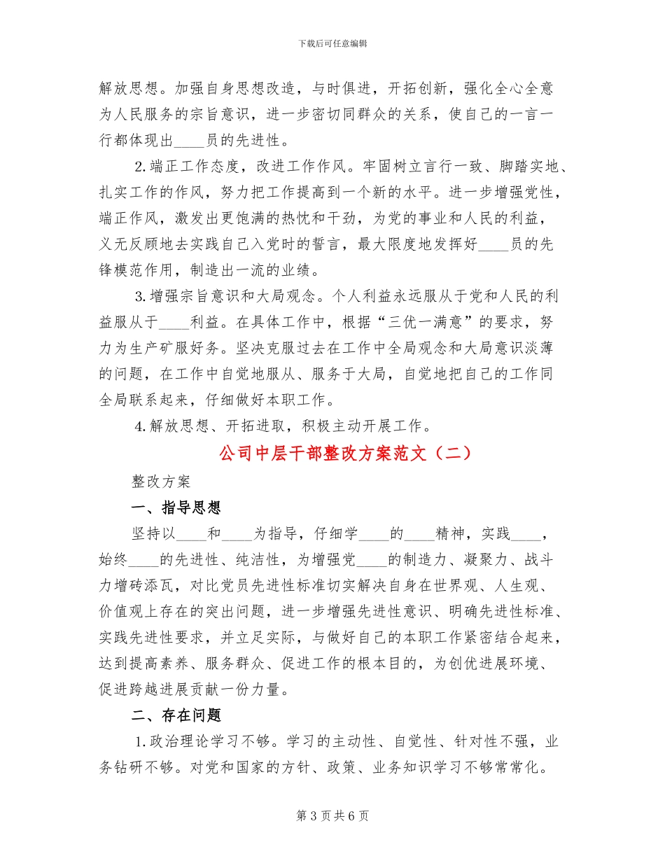 公司中层干部整改方案范文_第3页