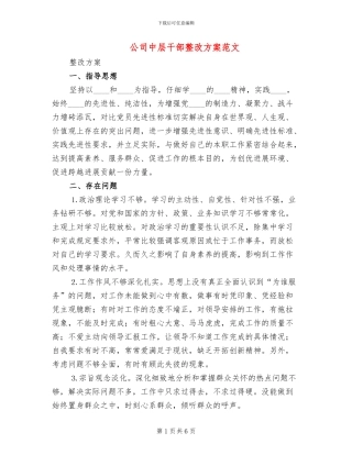 公司中层干部整改方案范文